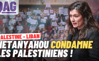 Situation au Liban et à Gaza: Ma question au gouvernement